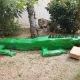Max l'iguane